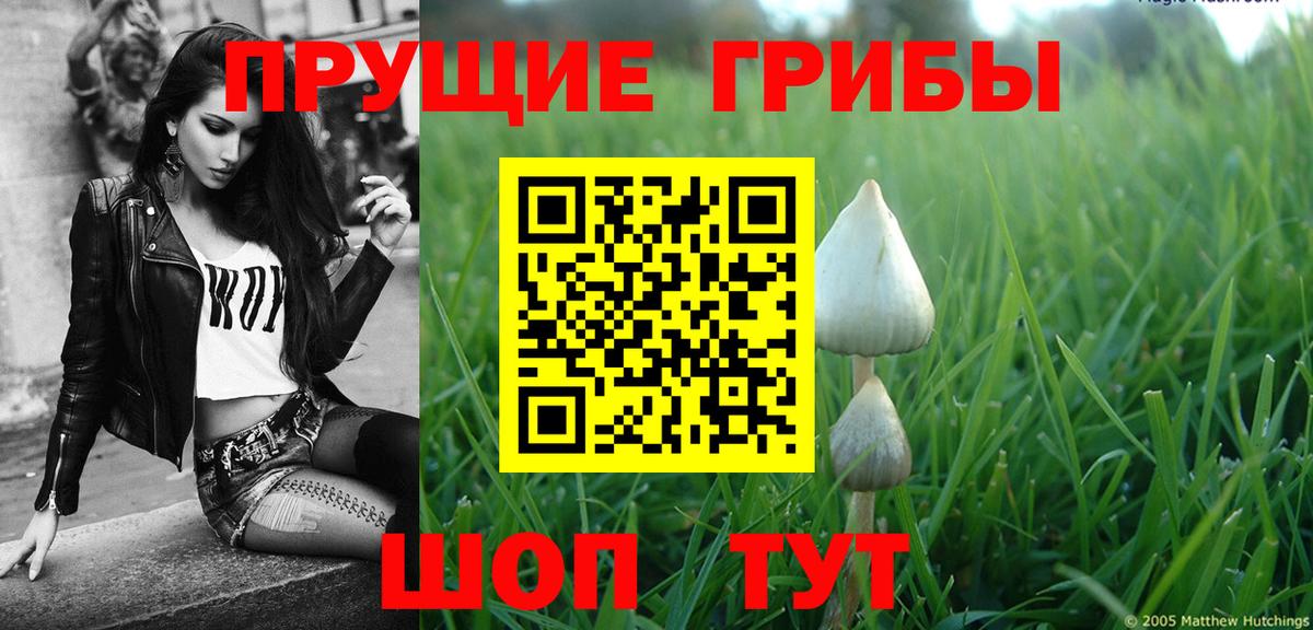 Галлюциногенные грибы прущие грибы Касимов